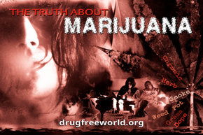 The Truth About Marijuana