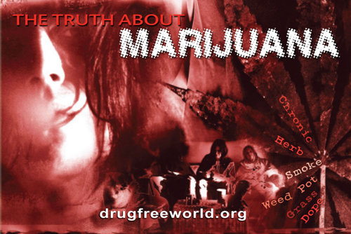 The Truth About Marijuana
